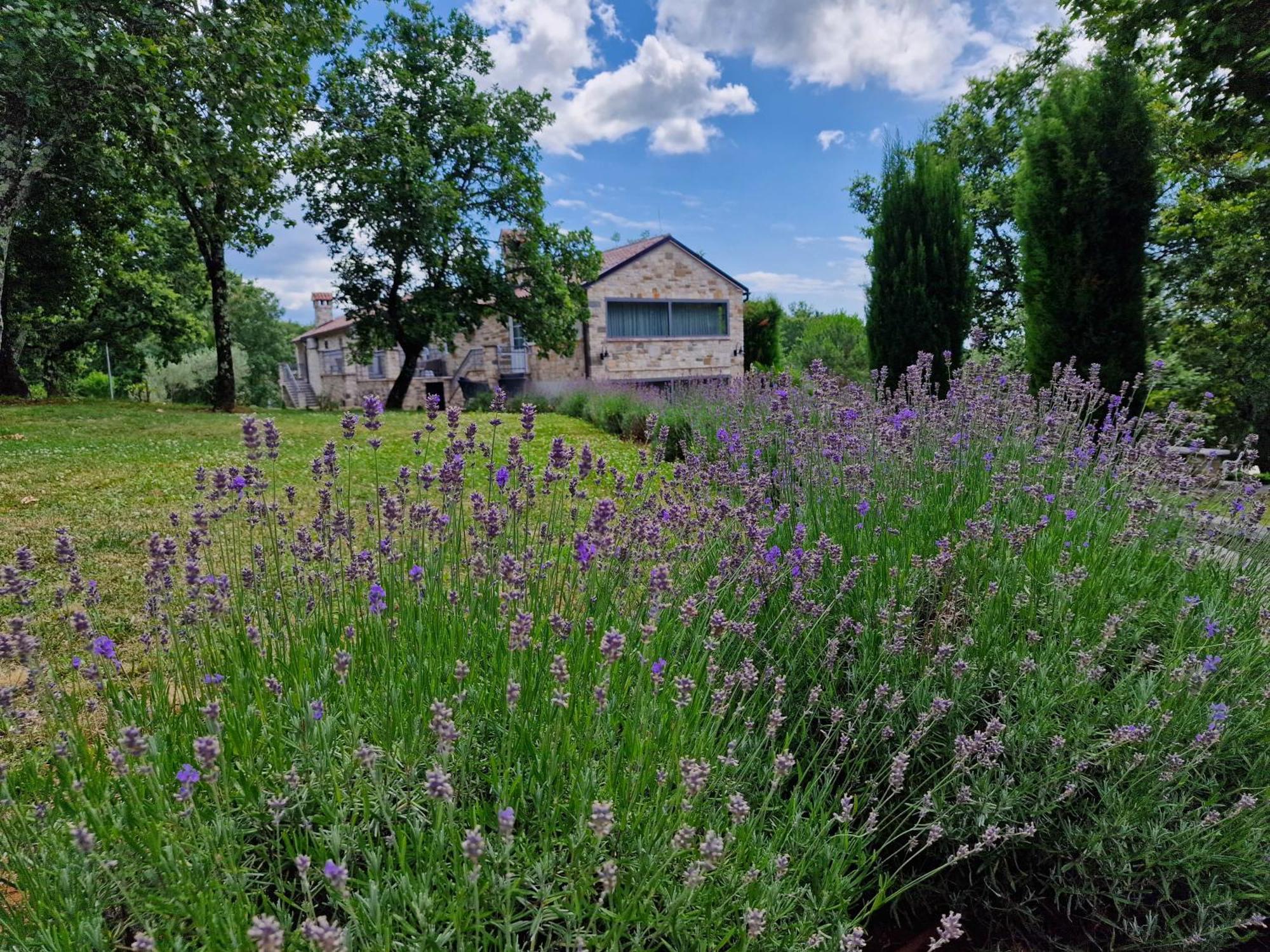 Bed and Breakfast Stancija Ruseti Oprtalj Экстерьер фото